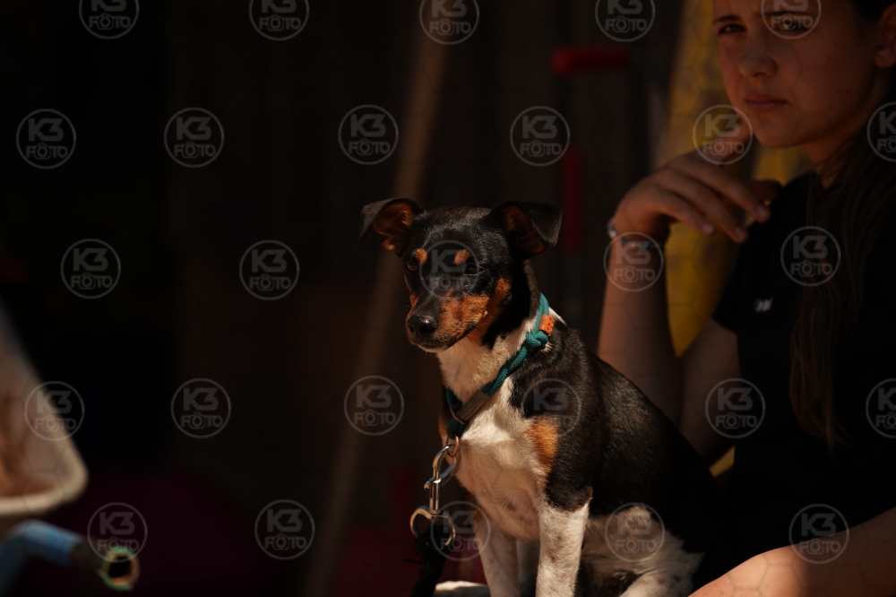 s_A9_03776.jpg
